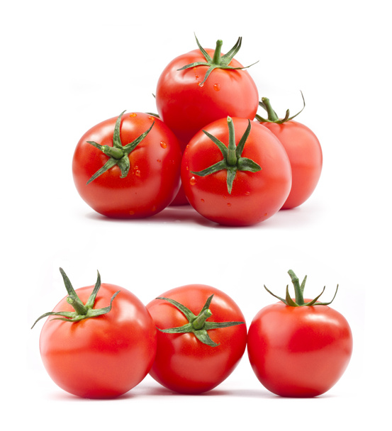 Recogida de tomates
 - Foto, Imagen
