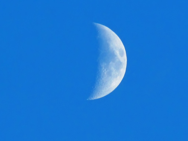 月の表面 - 写真・画像