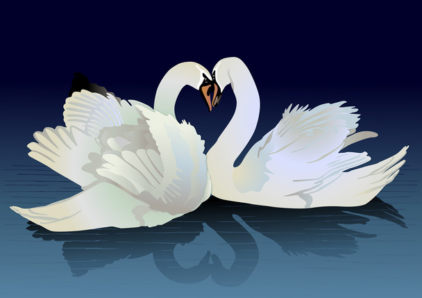 Two swans - Διάνυσμα, εικόνα