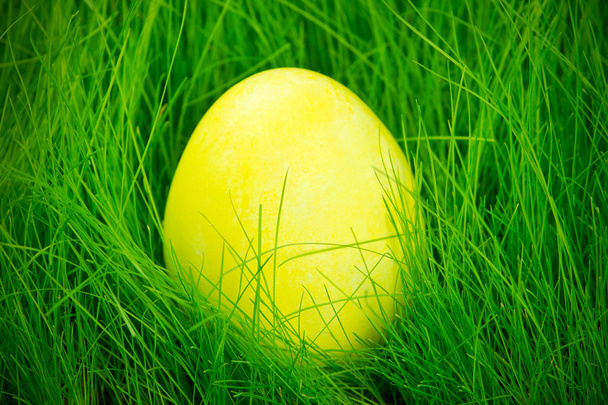 Sárga festett húsvéti tojás a fűben - Fotó, kép
