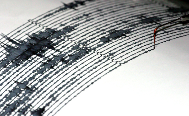 Seismogram - Fotó, kép