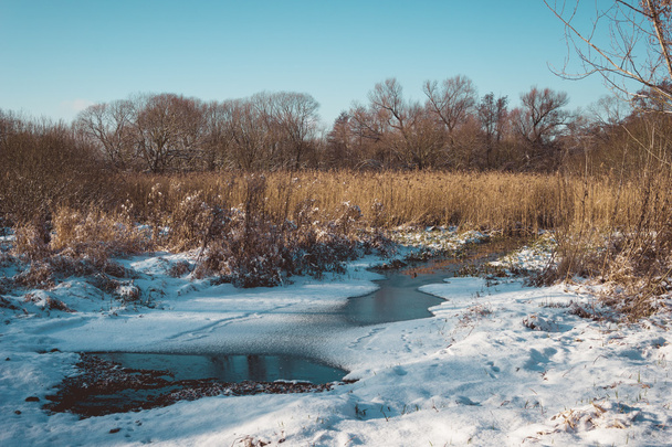 Melting Ice and Snow on Grassy Wetland Pond - Photo, Image