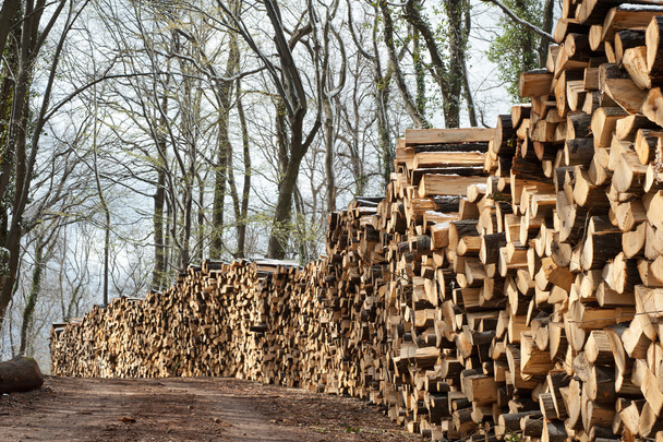 Pile de bois de chauffage
 - Photo, image