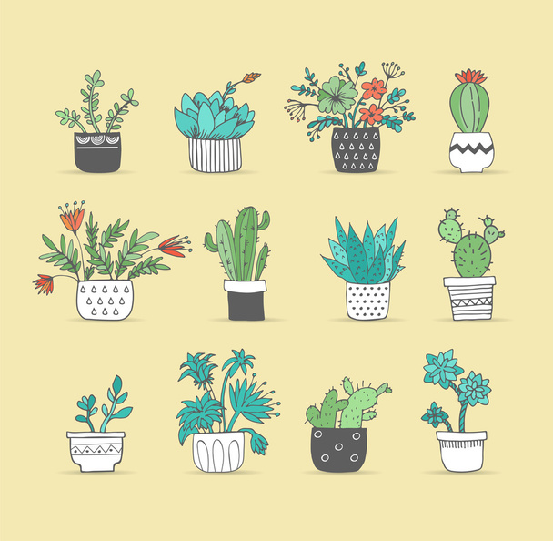Set di cactus disegnato a mano carino
 - Vettoriali, immagini