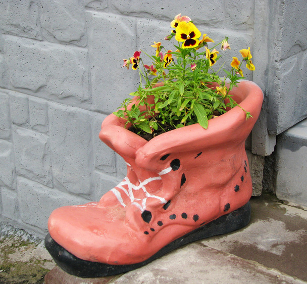 Blumentopf in Form eines Schuhs mit blühenden Blumen - Foto, Bild
