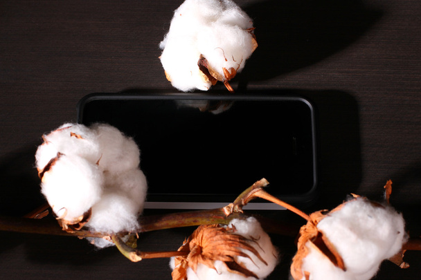 Smartphone mit Baumwolle - Foto, Bild