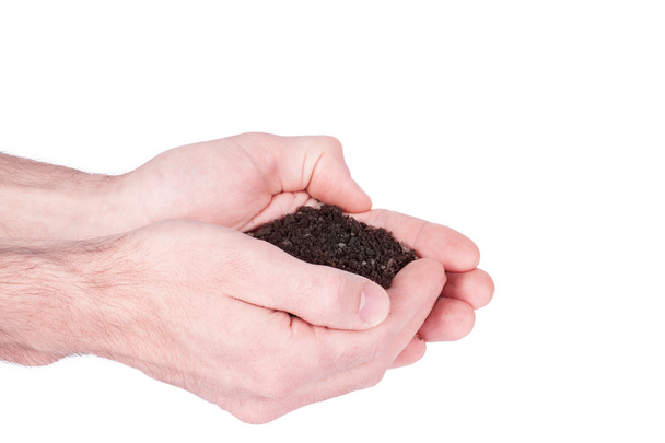 руки держат черную садовую почву в руках над белым нартом
 - Фото, изображение