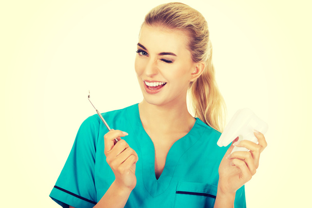 Young smile dentist holding a tooth model - Zdjęcie, obraz