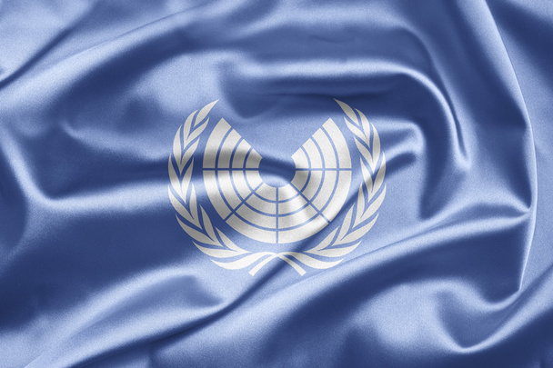 Egyesült Nemzetek parlamenti közgyűlés - Fotó, kép