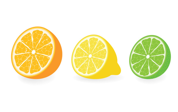 Citrus vector collection - ベクター画像