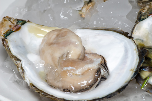 Fresh oyster with ice closeup - Фото, зображення
