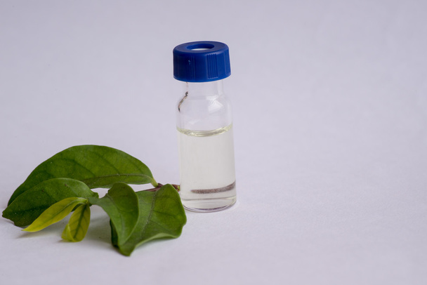 Vial, leaf and copyspace - Photo, Image