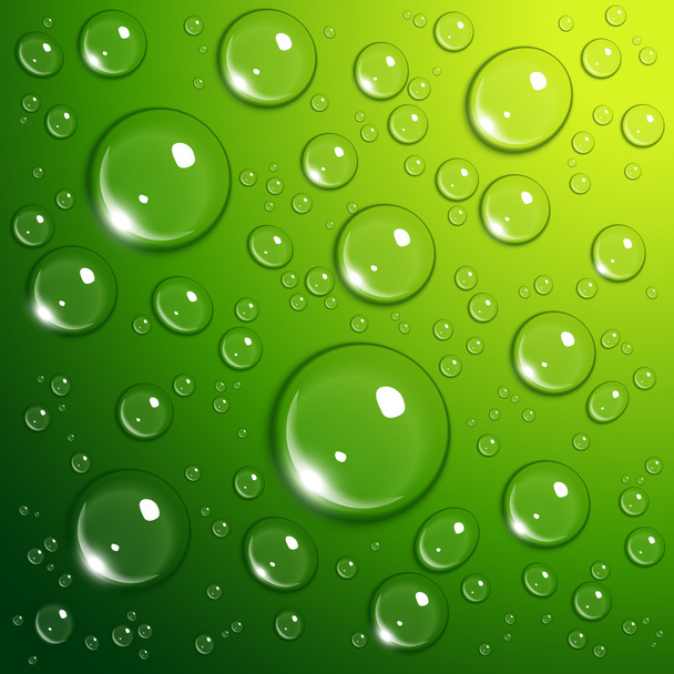 Yeşil su damlaları - Vektör, Görsel