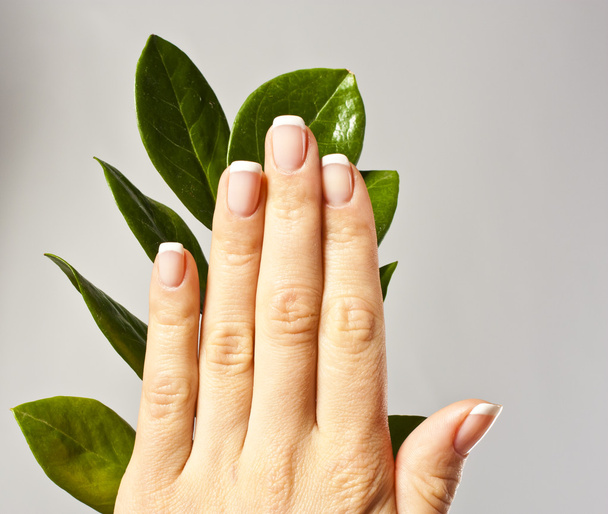 Beautiful woman hands with french manicure - Fotoğraf, Görsel