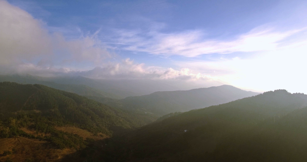4K aerial, Lot nad lasem, na uboczu, Andaluzja, Hiszpania - Materiał filmowy, wideo