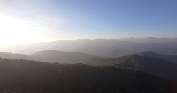 4K εναέρια, πτήση πάνω από ένα δάσος, εκτός πίστας, Ανδαλουσία, Ισπανία - Πλάνα, βίντεο