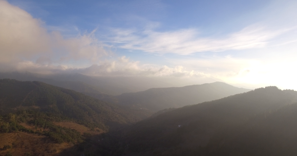 4K aerial, Lot nad lasem, na uboczu, Andaluzja, Hiszpania - Materiał filmowy, wideo