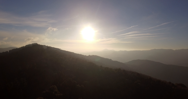 4K εναέρια, πτήση πάνω από ένα δάσος, εκτός πίστας, Ανδαλουσία, Ισπανία - Πλάνα, βίντεο