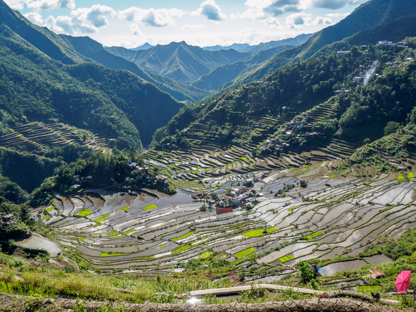 Banaue Batad rizs terasz, Fülöp-szigetek - Fotó, kép