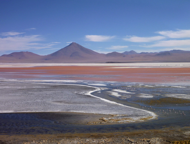 Laguna colorada v bolivijské altiplano se plameňáci - Fotografie, Obrázek