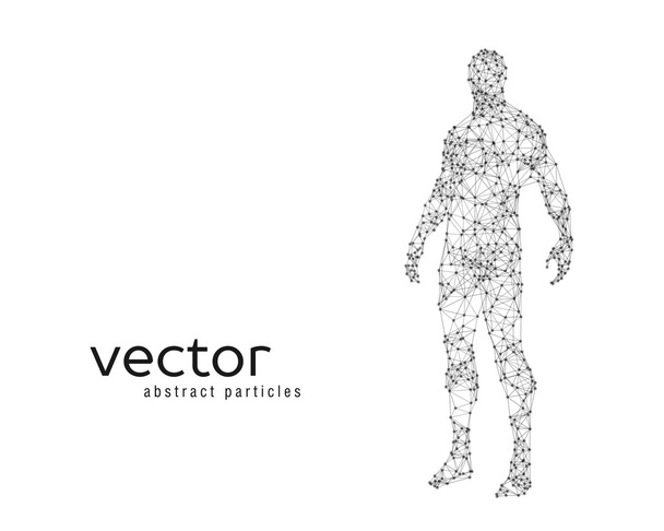 Vector illustration of human body - Vettoriali, immagini