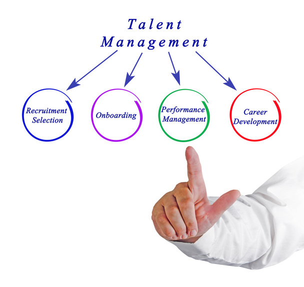 Diagram of Talent Management - Photo, Image