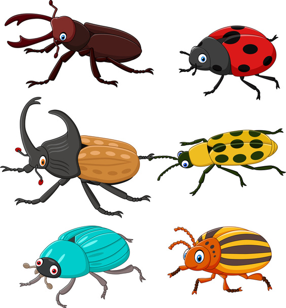 Coleção de besouro engraçado desenhos animados
 - Vetor, Imagem