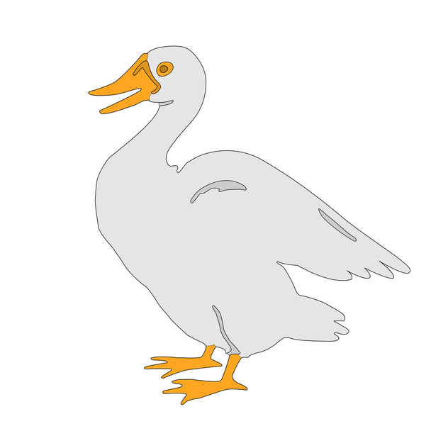 gosling bvector illustration - Vector, Image