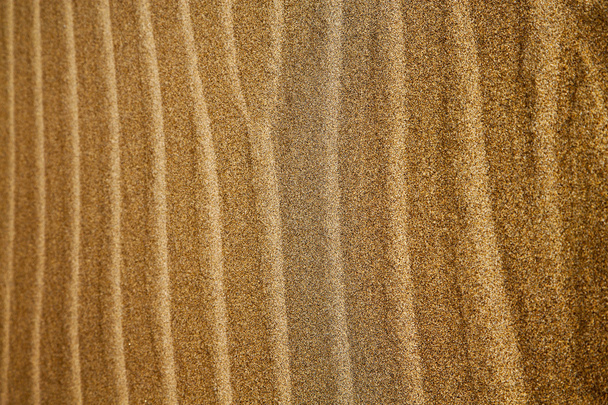 v Španělsko lanzarote suchého písku a na pláž  - Fotografie, Obrázek