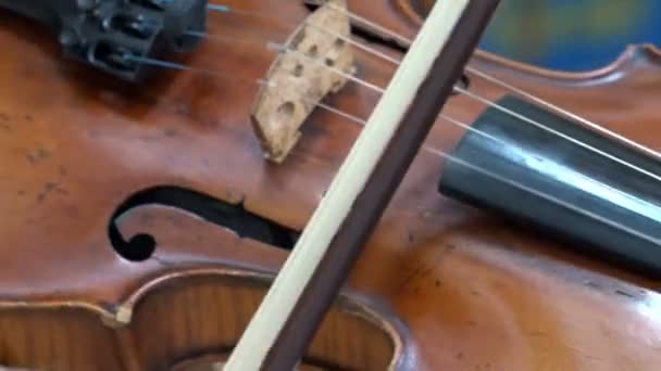 hrát na staré housle - Záběry, video