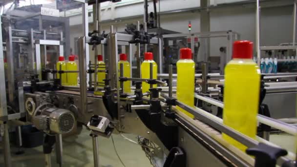 Liquid detergent on production line - Footage, Video