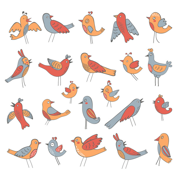 Bonita coleção de pássaros engraçados
 - Vetor, Imagem