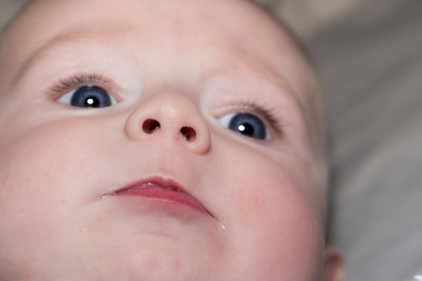 Ritratto di beaiutiful bambino di quattro mesi
  - Foto, immagini