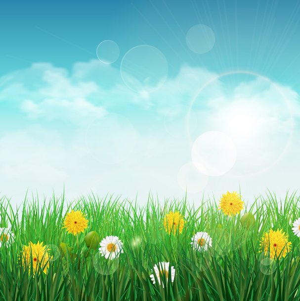 Весна фон с зеленой травой и небо
 - Вектор,изображение