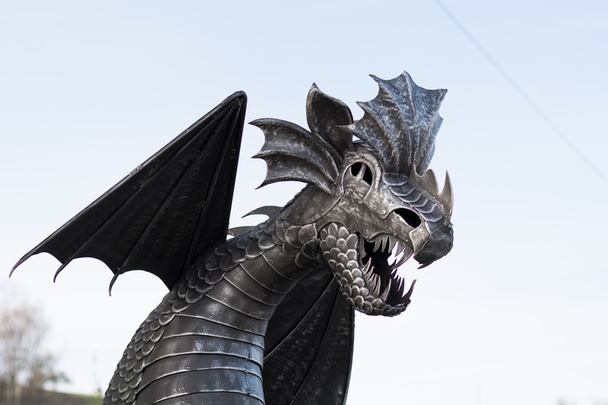 Dragon Metal - decoration - Photo, Image