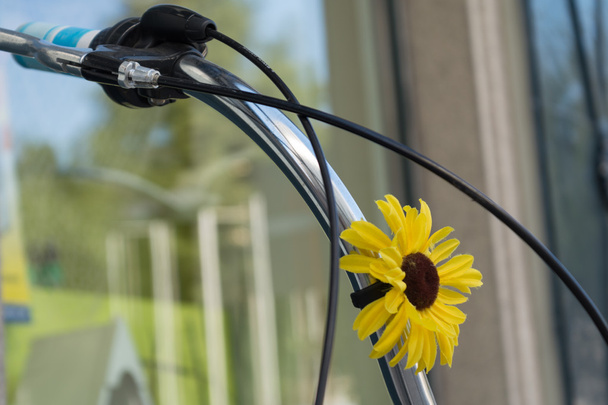 Manubrio bicicletta decorato con fiore
 - Foto, immagini