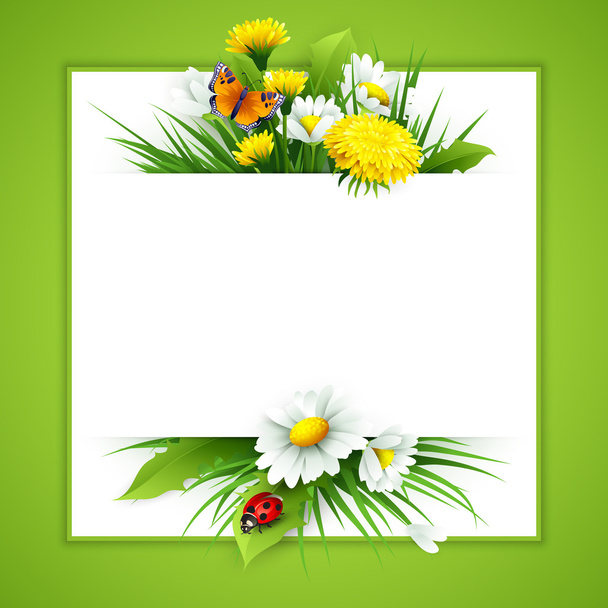 Fresh spring background with grass, dandelions and daisies - Vector, Image