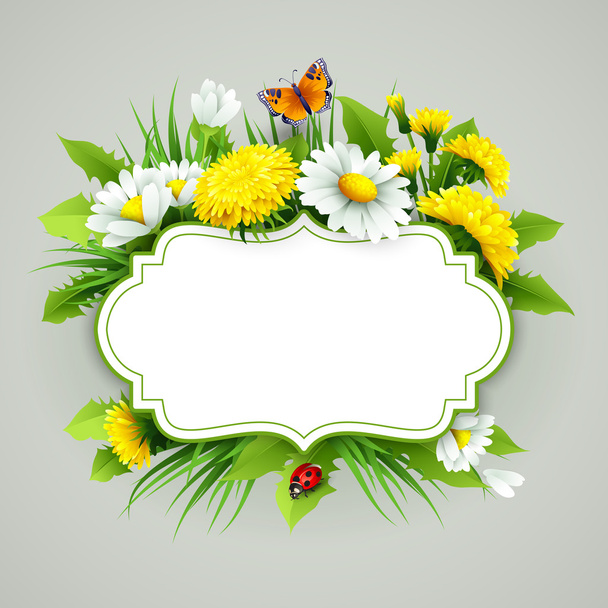 Fresh spring background with grass, dandelions and daisies - Vector, Image
