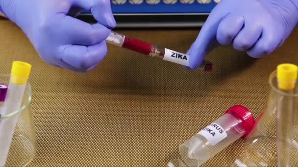 Zika virus koncept záběry s zkumavky na zlaté pozadí - Záběry, video