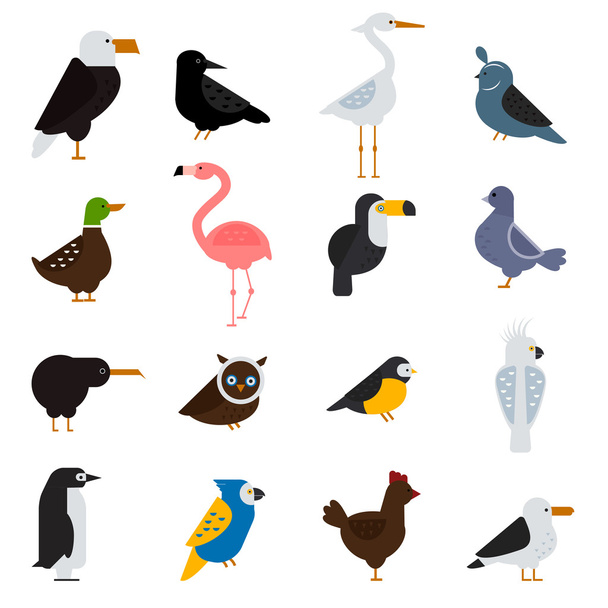 Birds vector set illustration. Eagle, parrot. Pigeon and toucan. Penguins, flamingos. Crows, peacocks. Black grouse, chicken. Sofa, heron - Vektör, Görsel