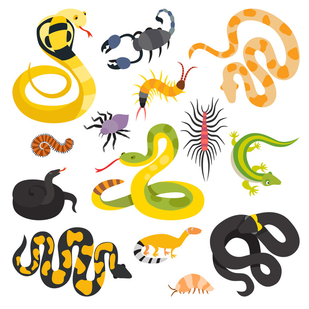 Vector flat snakes collection isolted on shite background - Διάνυσμα, εικόνα