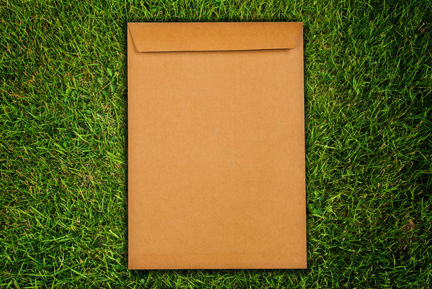 Brown letter on the grass field. - Photo, image