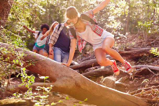 Friends Jumping Over Tree Trunk - Photo, Image