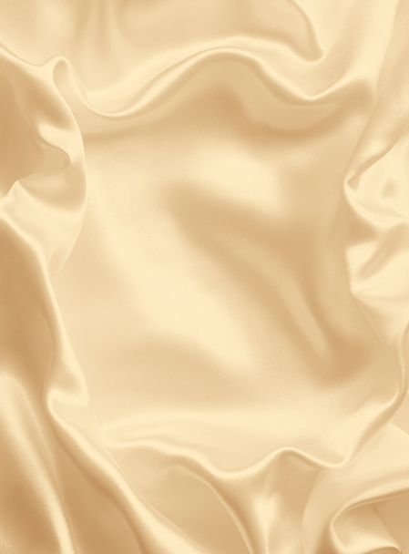 Smooth elegant golden silk as wedding background. In Sepia toned - Foto, Imagen