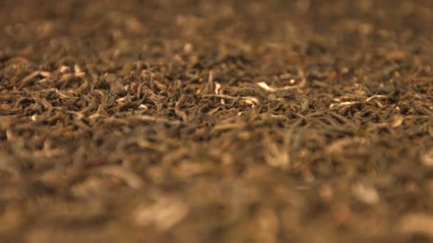 The dried green tea leaves. Vertical and horizontal  pan. Close-up. 2 shots. - Video
