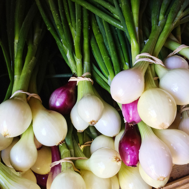 Świeżej cebuli na rynku - Zdjęcie, obraz