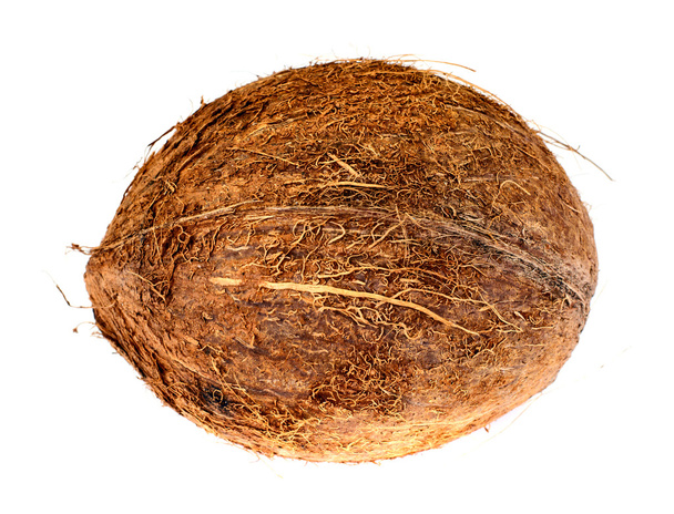 Coconut Isolated on a White Background - Photo, Image