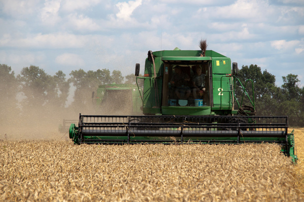 combinar colheitadeira trabalhando em um campo de trigo - Foto, Imagem