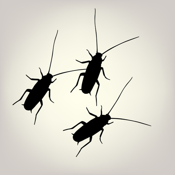 Cockroach - Vector, Image