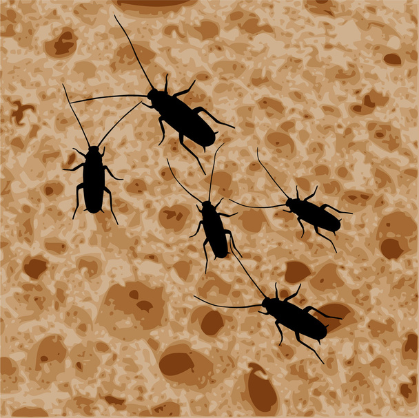 Cucaracha - Vector, imagen